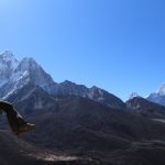 lilly everest trek nepal abroadhorizon